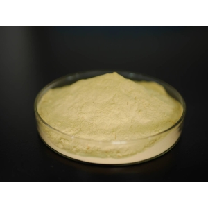 <strong>Hydrolyzed Vegetable Protein </strong>
