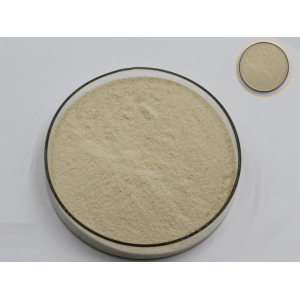 <strong>Xanthan Gum </strong>